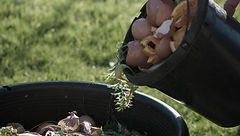 Compost organique