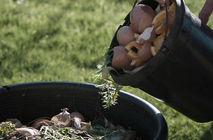 Organic Compost