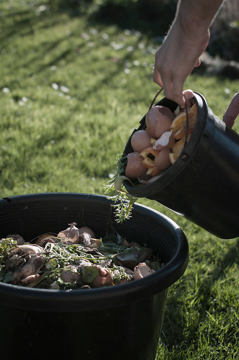 Organic Compost