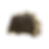 Rock