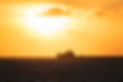 Dramatic Sunset