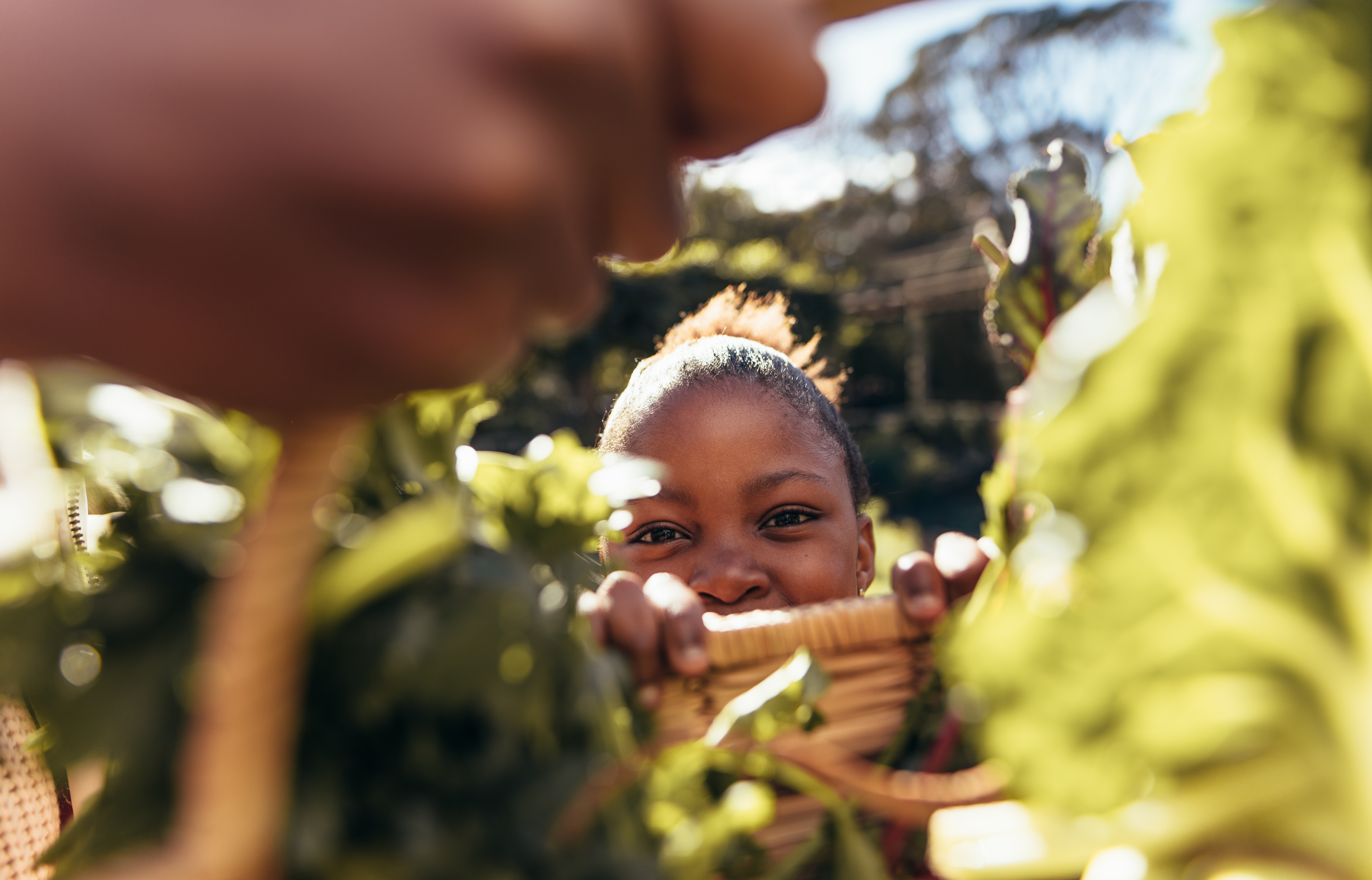 Girl peeking over a garden basket