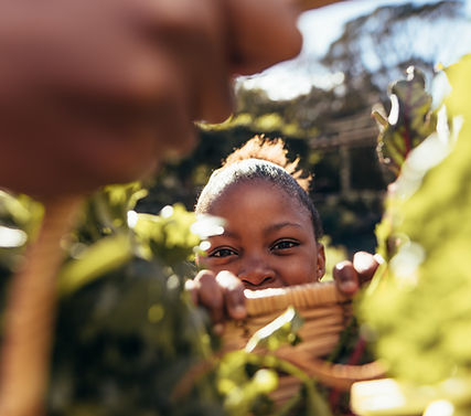 Girl Peeking Over Basket