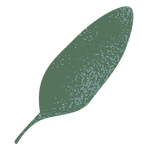 EW Fitness Carly Ellis-Winter