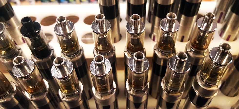Activist Kurt Yeo Tells COP10 That SA Hypocritical In Its Approach to Vaping And Cannabis