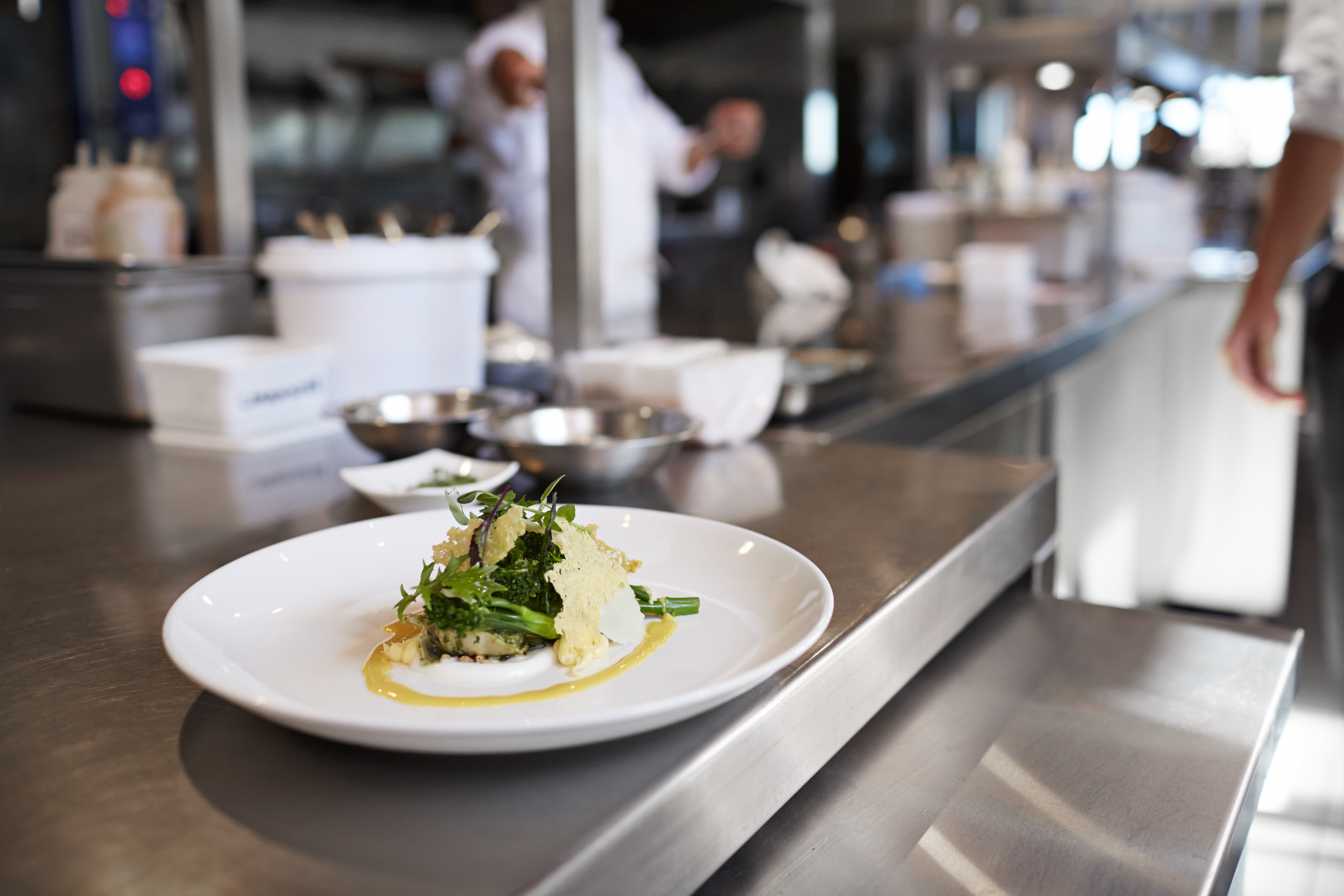 ChatGPT Image Jun 27, 2025 at 11_01_08 AM.png