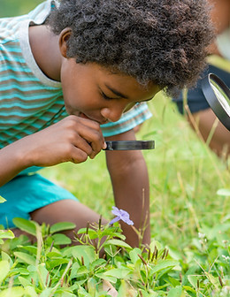 Child Observing Nature