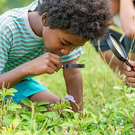 Kind kniet auf grüner Wiese und untersucht den Boden mit Lupe