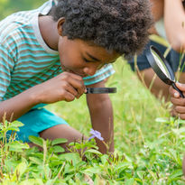 Educación al aire libre