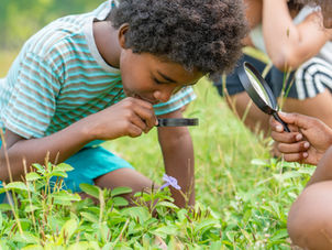Incorporating nature into education can build skills and improve mental health