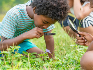 Children in the Garden: Fun Activities for Little Growers