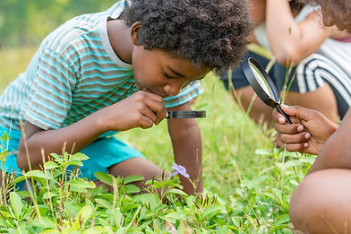 Child Observing Nature