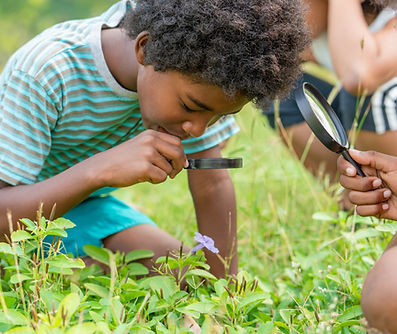 Outdoor Education