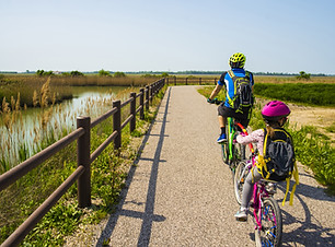 Bike Trip