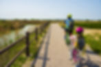 Cycle hire and active travel — inclusive cycling in the community