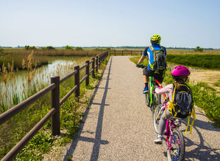 Famille dégustant du Comté dans une fruitière jurassienne avant un après-midi d'accrobranche dans la forêt