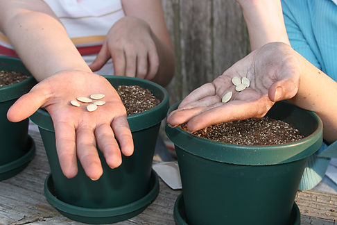 Planting Seeds