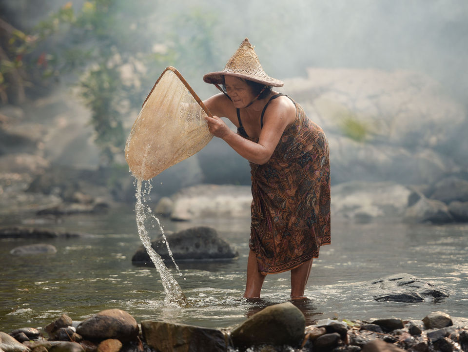 Humanitarian Projects