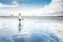 Collecting Seashells
