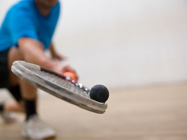 Squash Game Action