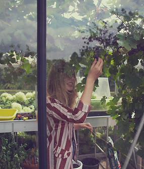 Professionelle Glasreinigung – gründliche Pflege von Fenstern, Glasfassaden und Wintergärten.