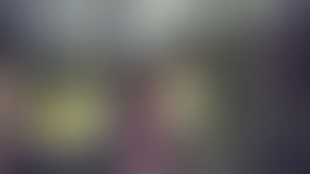 The Essential Materials You Need to Build a Greenhouse Attached to Your Home