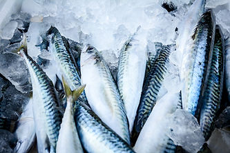 Pescado fresco en hielo