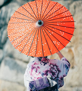 Japanese Umbrella