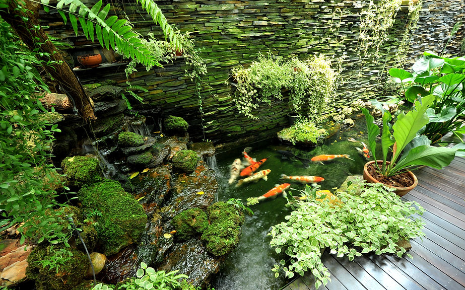 Fish garden
