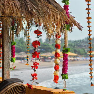 В Индонезии ограничили поток туристов в парк Комодо для защиты природы