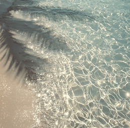 Tropical Beach Scene