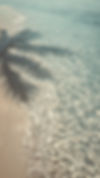 Tropical Beach Scene