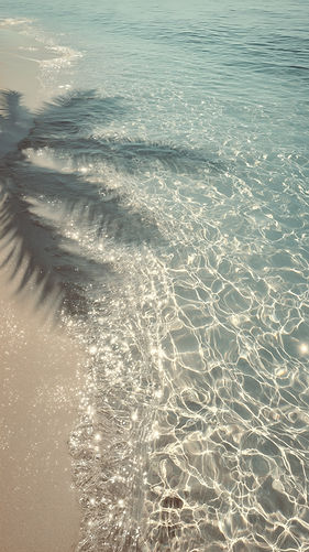 Tropical Beach Scene