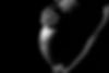 Pregnant Belly