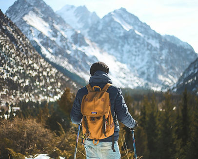 Wanderer blickt auf die Berge