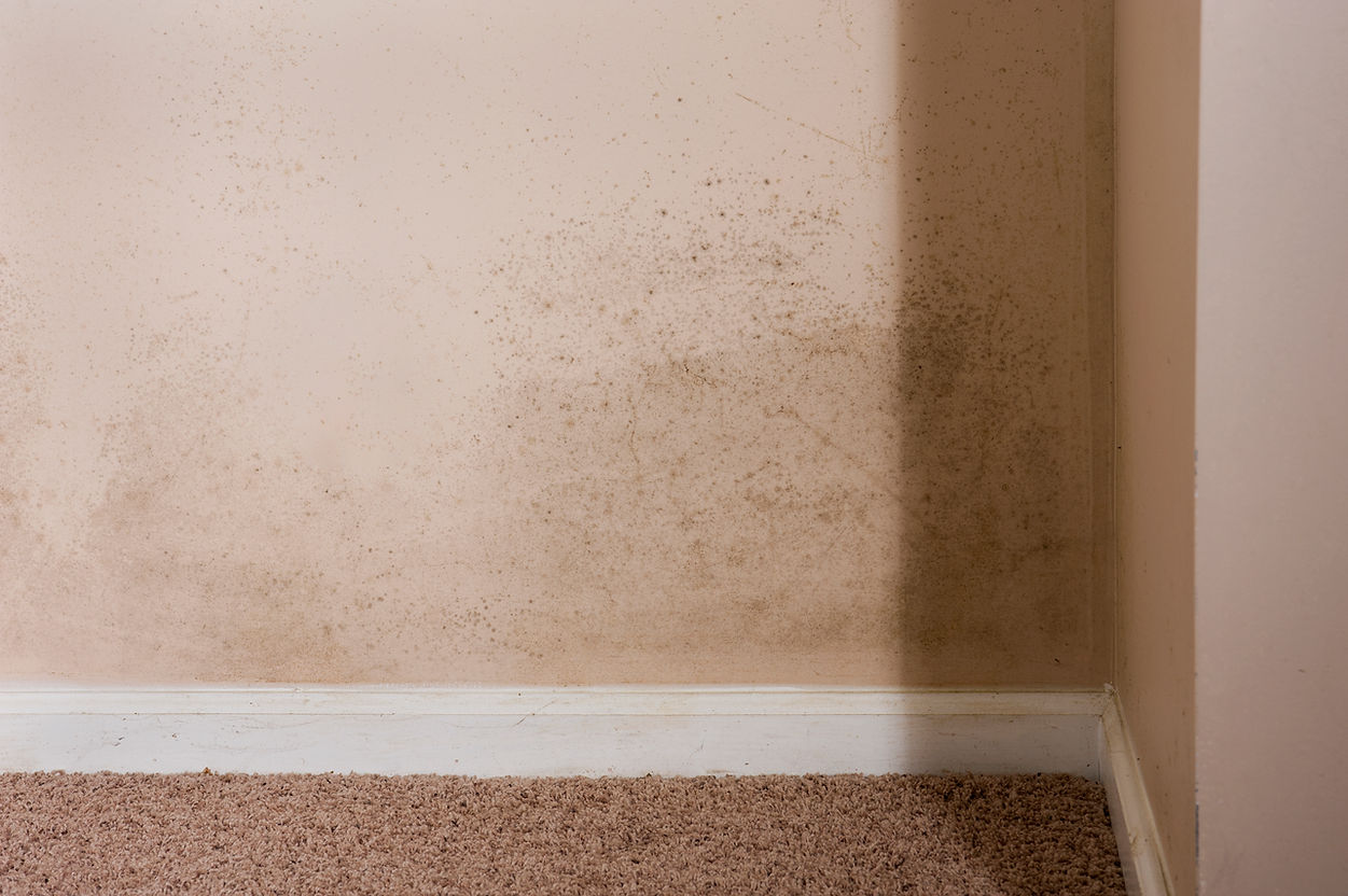 Dark mold stains on a beige basement wall and white baseboard trim caused by water leaking
