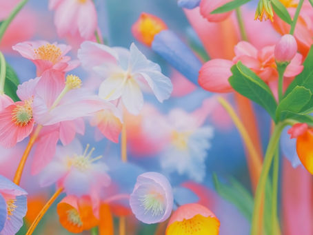 🌟 Stay Connected, Stay Updated, Stay Involved!