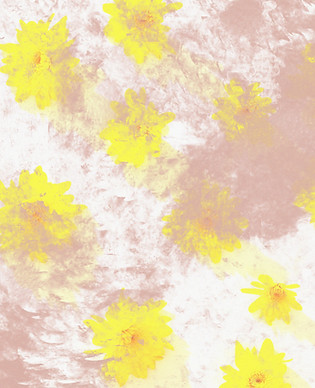 Blurry Yellow Flowers