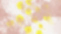 flores amarillas borrosas