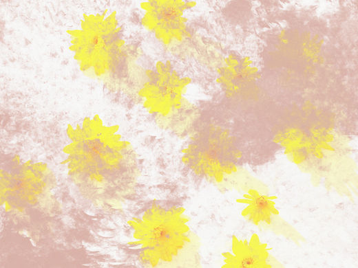 Harnessing Nature: How Pyrethrin from Chrysanthemum Flowers Safeguards Your Home from Pests