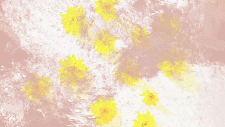 flores amarillas borrosas