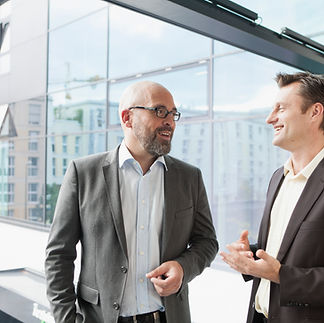 Business management consultant