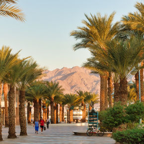 Palm Desert Gold