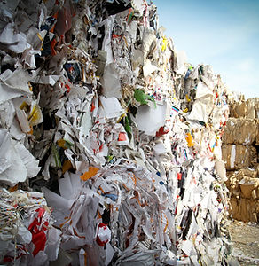 Dump Site