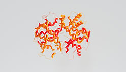 Protein Structure Diagram
