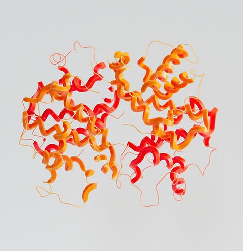 Protein Structure Diagram