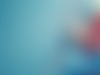 2026 - 9 Year BCBZ Anniversary