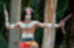 Aboriginal Culture Show
