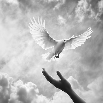 Hand Releases White Dove