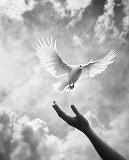 Hand Releases White Dove